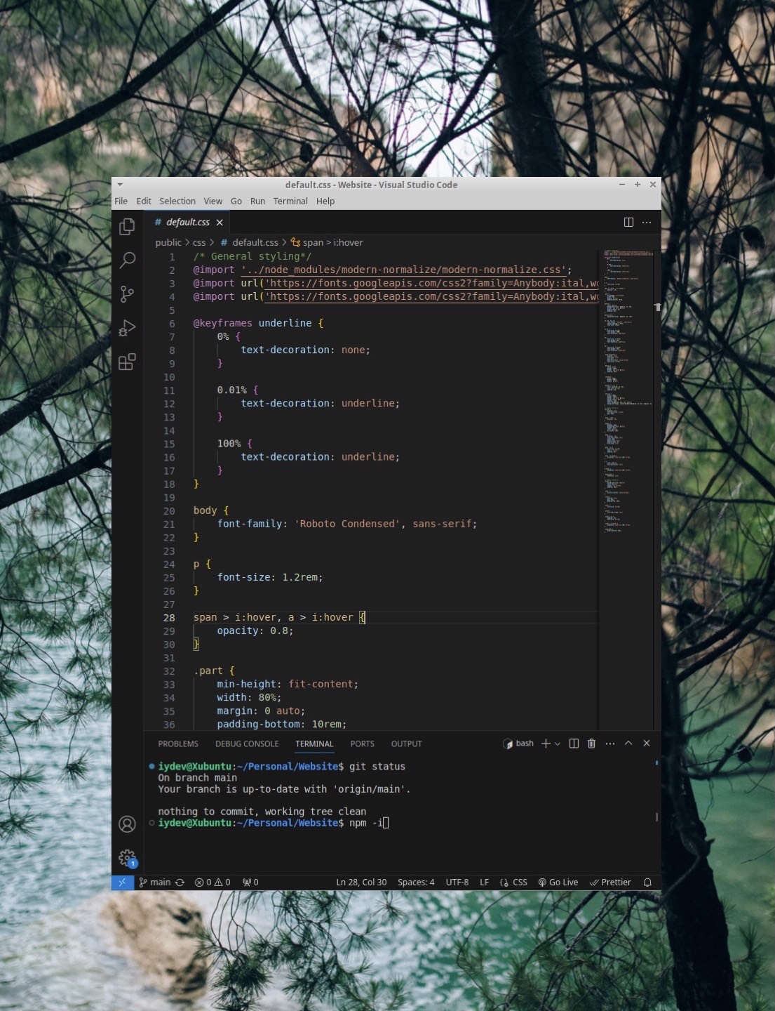 We use VSCode as our IDE